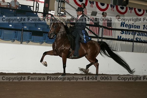 Proof Number r14-04_0063